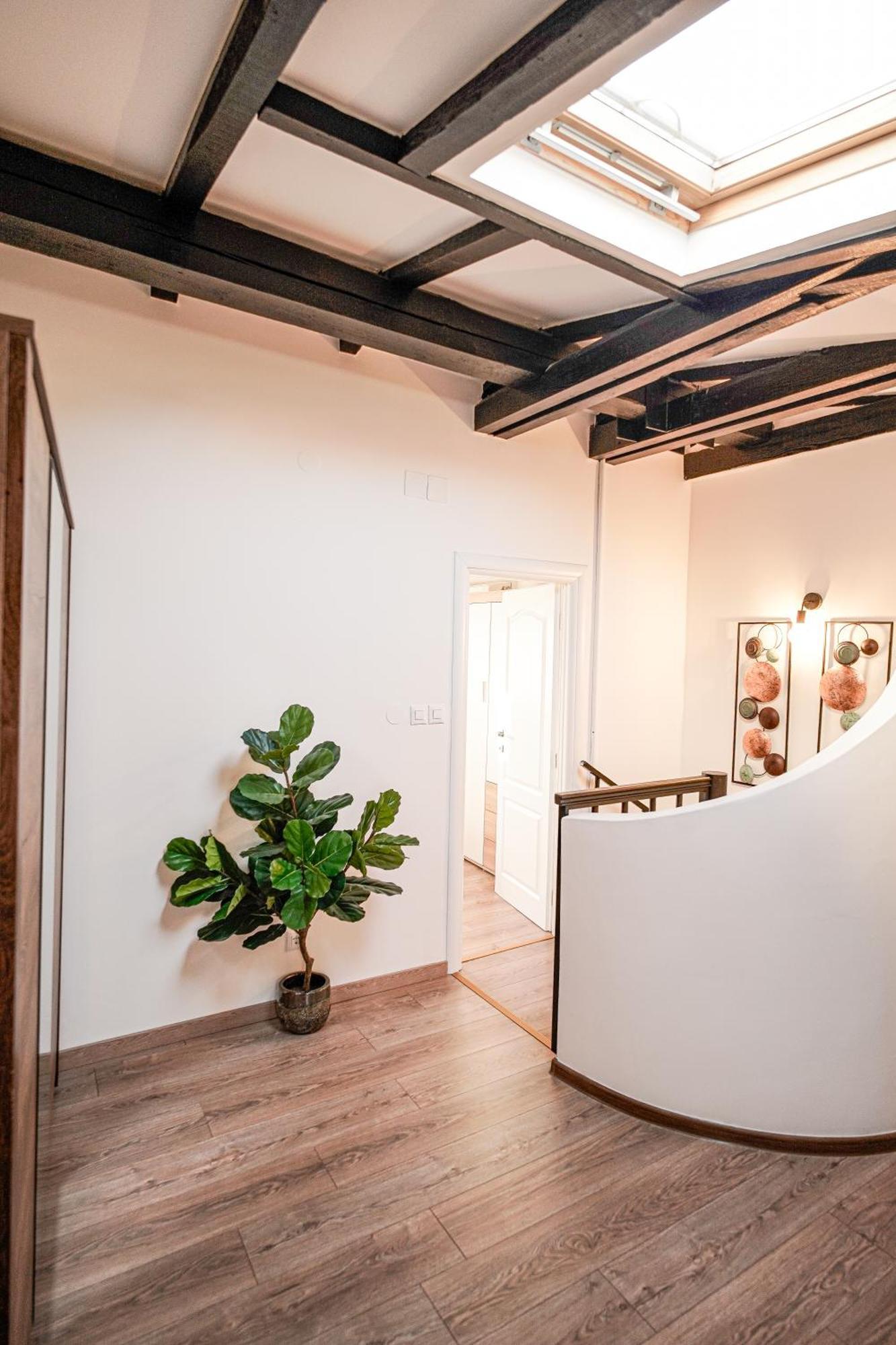 Apartment Rocco Ρόβινι Εξωτερικό φωτογραφία